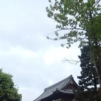 建仁寺の写真・動画_image_236256