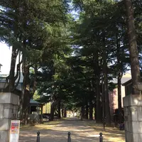 あがたの森公園の写真・動画_image_236312