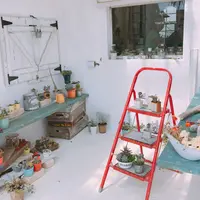 来間島の写真・動画_image_236316