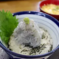 お食事処渡舟の写真・動画_image_236330
