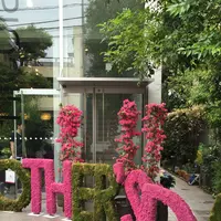 ニコライバーグマン ノム（Nicolai Bergmann NOMU ）の写真・動画_image_236497