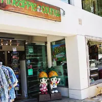 Pineapple Countyの写真・動画_image_236513