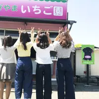 すぎやまいちご園の写真・動画_image_236729