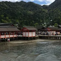 厳島神社の写真・動画_image_236958