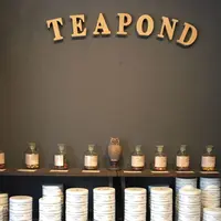 TEAPONDの写真・動画_image_237074