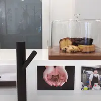 珈琲とお菓子「き」/ マメトラ菓子店の写真・動画_image_237085