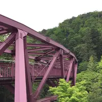 あやとりはしの写真・動画_image_237254