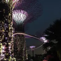 ガーデンズ・バイ・ザ・ベイの写真・動画_image_237308