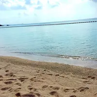 ブセナ海中公園の写真・動画_image_237343