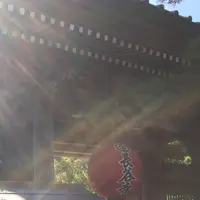 長谷寺の写真・動画_image_237489