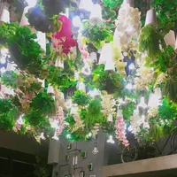 24"7の写真・動画_image_237647