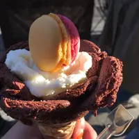 Amorinoの写真・動画_image_237926