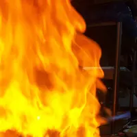 서울고기집の写真・動画_image_237930