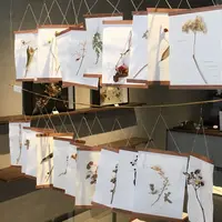 haseの写真・動画_image_238034