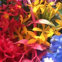 【閉業】原美術館の写真・動画_image_238067