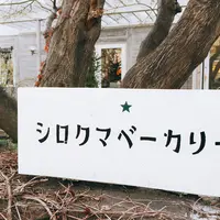 シロクマベーカリー 本店の写真・動画_image_238073