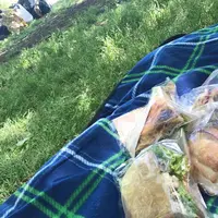 砧公園の写真・動画_image_238712