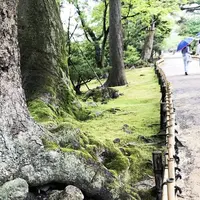 兼六園の写真・動画_image_238786