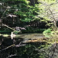 山吹水源の写真・動画_image_239163