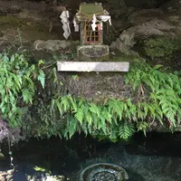 鏡ケ池の写真・動画_image_239176
