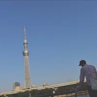 隅田川の写真・動画_image_239261