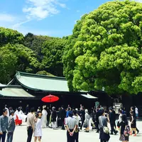 明治神宮の写真・動画_image_239534