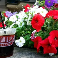 【閉店】ゴリラ コーヒー エソラ池袋店の写真・動画_image_239629