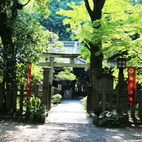 白雲神社の写真・動画_image_239645