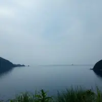 世久見湾の写真・動画_image_239852