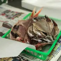 魚浅の写真・動画_image_239892