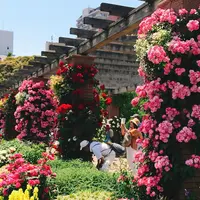 山下公園の写真・動画_image_240166
