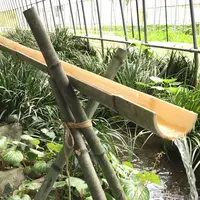 立岩水源 そうめん流しハウスの写真・動画_image_240302