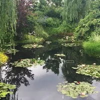 食と緑の空中庭園の写真・動画_image_240697