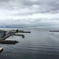 城ケ島の写真・動画_image_240963