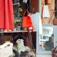 ピボワンヌ （pivoine） の写真・動画_image_241183