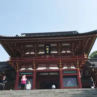 鶴岡八幡宮の写真・動画_image_241334