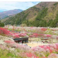 月川の写真・動画_image_241707