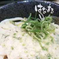 はなまるうどん 横浜ポルタ店の写真・動画_image_241739