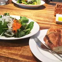 シエロイリオの写真・動画_image_241790