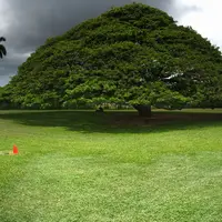 モアナルア・ガーデンズの写真・動画_image_241862