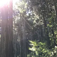 御岳山の写真・動画_image_242294