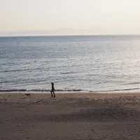 森戸海岸の写真・動画_image_242542