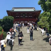 鶴岡八幡宮の写真・動画_image_242736