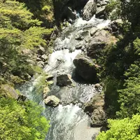 鳩ノ巣渓谷の写真・動画_image_242740