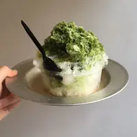 目黒ひいらぎの写真・動画_image_242759