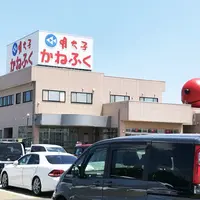 （株）東京かねふく めんたいパーク直売店の写真・動画_image_242839