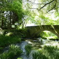 池山水源の写真・動画_image_243733