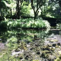 山吹水源の写真・動画_image_243750