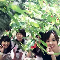 原田農園の写真・動画_image_243856