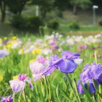 岡崎市東公園動物園の写真・動画_image_243990